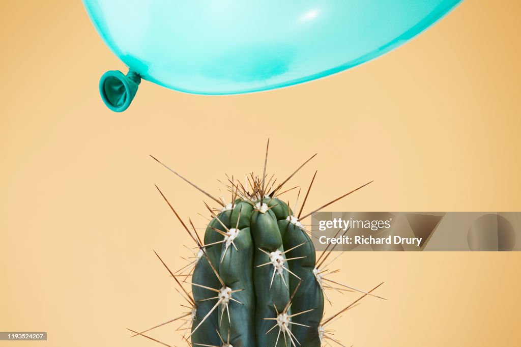 A balloon flying too close to cactus