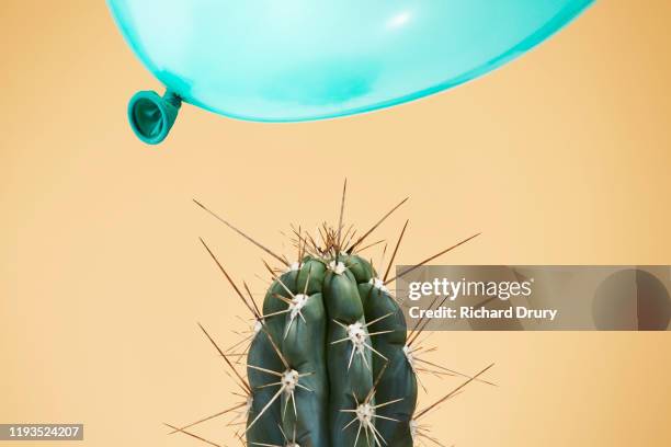 a balloon flying too close to cactus - thorn stockfoto's en -beelden