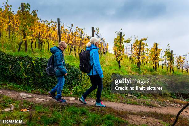 vrouw en jongen wandelen tussen wijngaarden bij slecht weer - alsace stockfoto's en -beelden