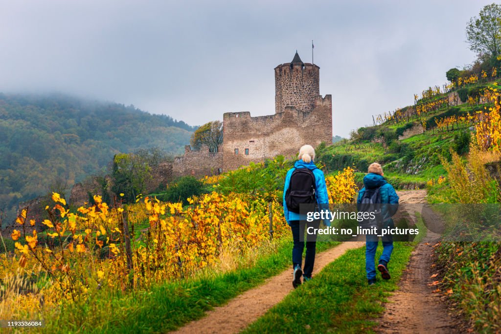 Woman and boy hiking between vineyards to the ruin of Kaysersberg castle