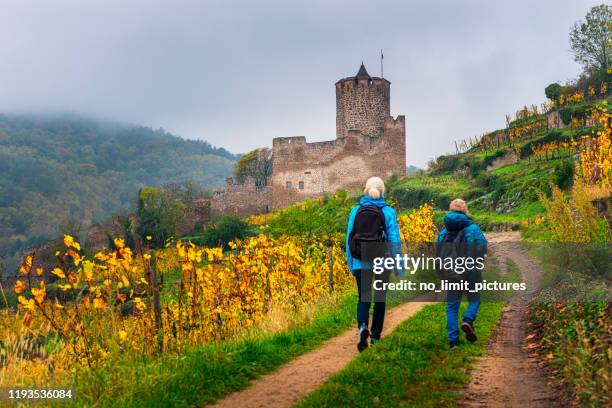 woman and boy hiking between vineyards to the ruin of kaysersberg castle - alsatian stock pictures, royalty-free photos & images