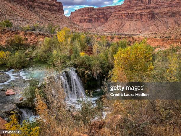 waterfalls on the havasupai native american reservation - supai 個照片及圖片檔