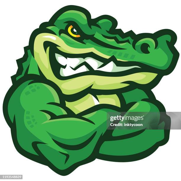 gator with his arms crossed - mascot stock illustrations