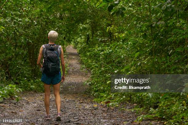 mother and daughter hiking in soberania national park of gamboa, panama in central america - panama wildlife stock pictures, royalty-free photos & images