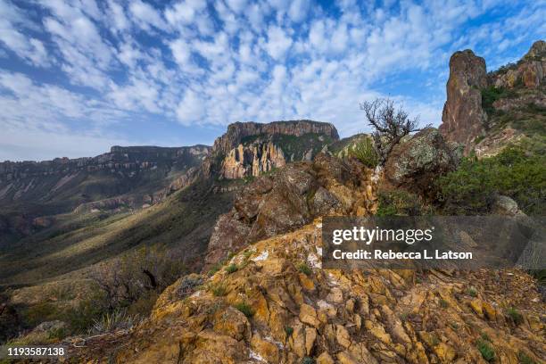 the view along lost mine trail - chihuahua desert 個照片及圖片檔