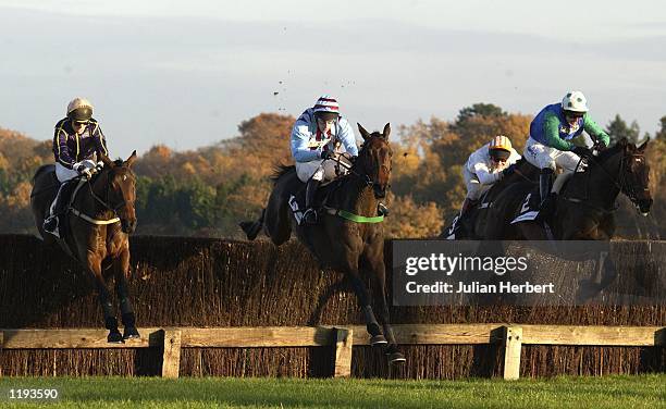 Tony McCoy and Wahiba Sands jump the 2ND fence from home at Ascot in company with Best Mate and Jim Culloty and logican ridden by Barry Keniry before...