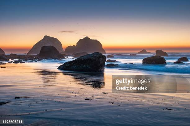 kustlijn sea stacks redwood nationaal park californië verenigde staten - noordelijk californië stockfoto's en -beelden