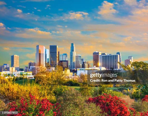 Spring In La Los Angeles Spring Photos and Premium High Res Pictures - Getty Images