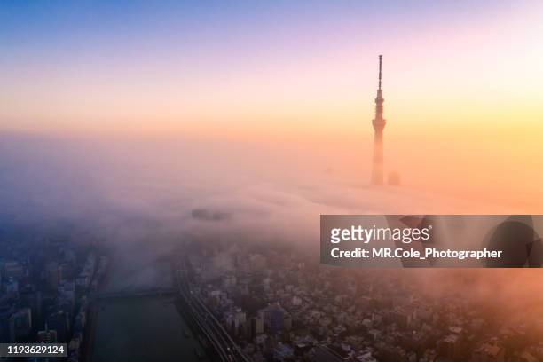 morning tokyo view shrouded in fog is the most beautiful,tokyo cityscape - japan sunrise stock-fotos und bilder