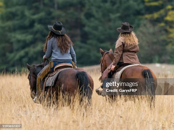 horse and female riders in grass back view - beige hat stock pictures, royalty-free photos & images