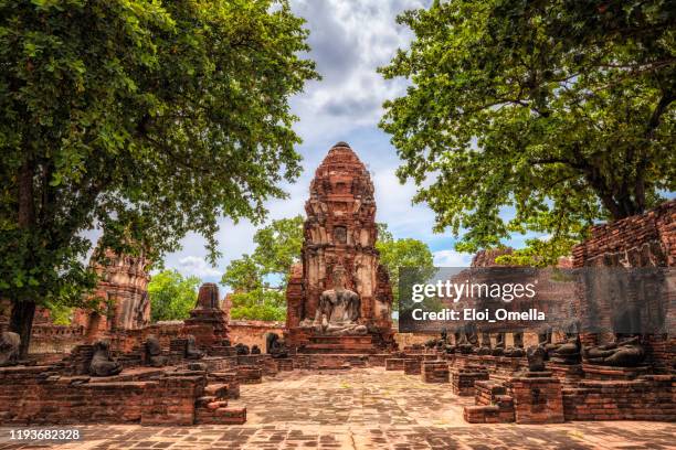 wat maha that old temple ruins in ayutthaya, thailand - ayuthaya imagens e fotografias de stock