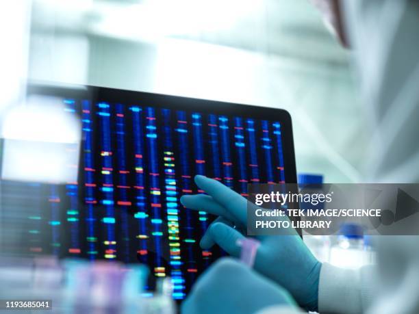 Genetic Analysis Lab 19,691 Genetics Laboratory Stock Photos, High-Res Pictures, and Images ...