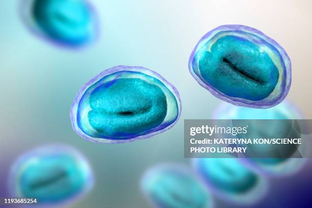 stockillustraties, clipart, cartoons en iconen met threadworm eggs, illustration - dierlijk onderlijf