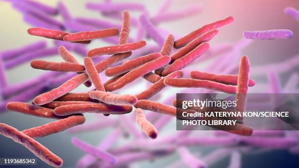 leprosy bacteria, illustration - leprosy stock illustrations