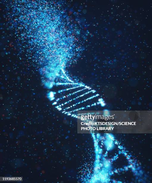 genetic disorder, conceptual illustration - adn fotografías e imágenes de stock