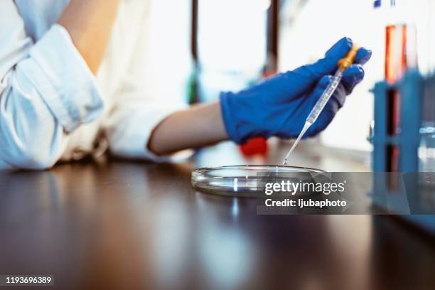 de toekomst één experiment op een tijdstip wijzigen - salmonella bacterium stockfoto's en -beelden