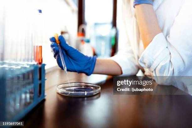 vamos a experimentar para el día - salmonella bacteria fotografías e imágenes de stock