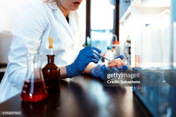 food quality control concept - imitation stock pictures, royalty-free photos & images