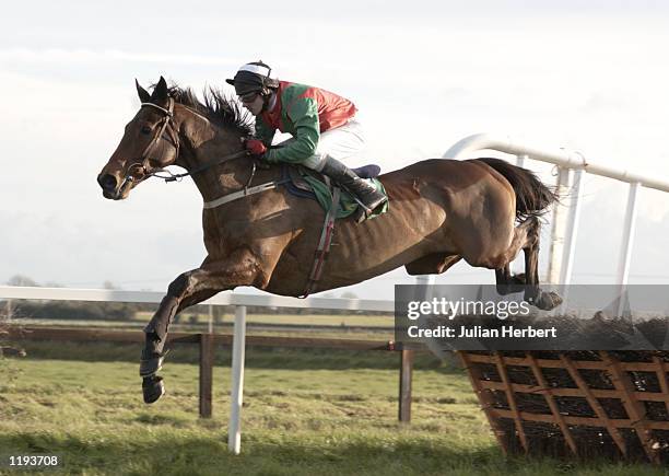 Paul Carberry and Limestone Lad clear an early flight at Fairyhouse before landing the Ballymore Properties Hatton's Grace Hurdle race. DIGITAL...