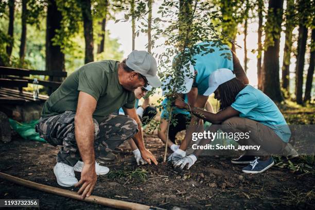 volunteers planting a tree - white south african people stock pictures, royalty-free photos & images
