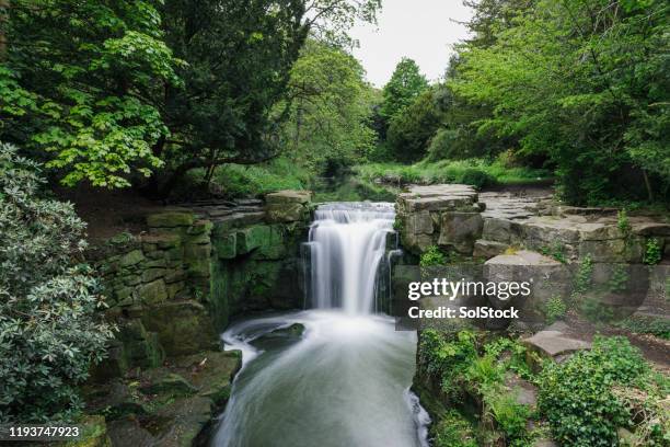 waterval in jesmond dene - noordoost engeland stockfoto's en -beelden