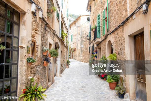 mediterranean street with flowers and plants in the mallorca island. - mallorca spain stock pictures, royalty-free photos & images