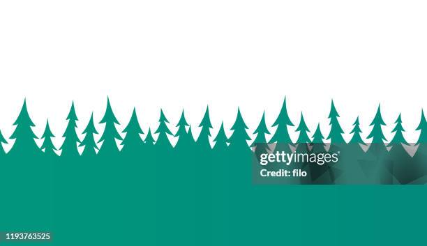 stockillustraties, clipart, cartoons en iconen met naadloze forest pine tree border - bomenrij