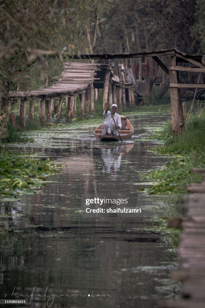 A man paddling a shikara - a traditional wooden boat.