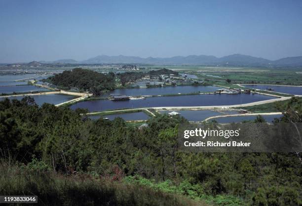 1970s landscape of duck farms and rural paths at Lok Ma Chau in the New Territories of northern Hong Kong, a village within the territory's Frontier...