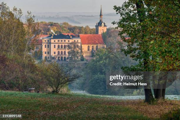 view to ettersburg castle - weimar stock pictures, royalty-free photos & images