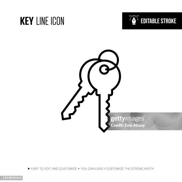ilustrações de stock, clip art, desenhos animados e ícones de key line icon - editable stroke - chave