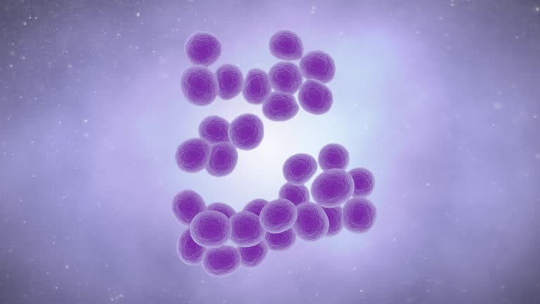 Staphylococcus Urease 19 Microscopic Image Of Staphylococcus Aureus Stock Videos, Footage ...