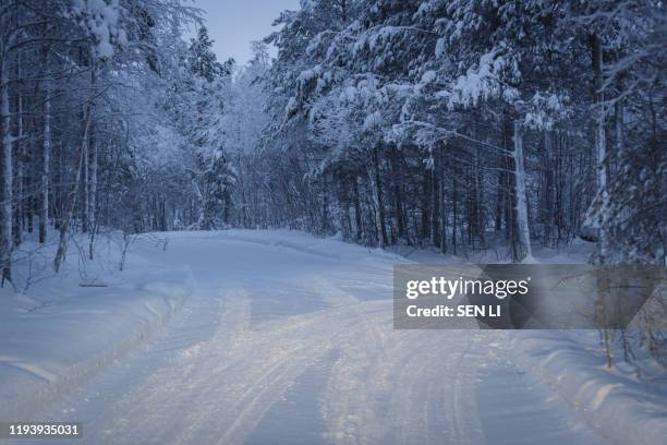white snow plain and forest, rural road in northern finland in winter - saariselka stock pictures, royalty-free photos & images