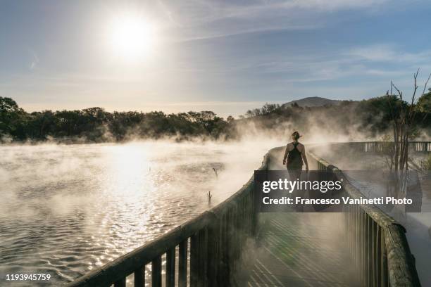 woman walking on a footpath at kuirau park, rotorua, nz. - rotorua stock pictures, royalty-free photos & images