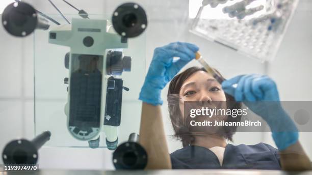 jonge japanse vrouwelijke lab tech onderzoeken bloedmonster - lab science moderne stockfoto's en -beelden