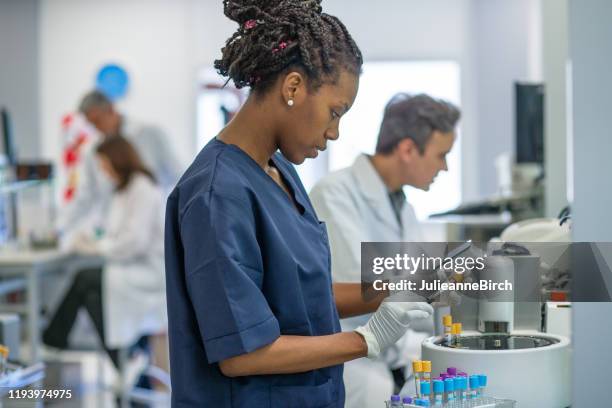 african female lab technician processing blood samples - medical laboratory stock pictures, royalty-free photos & images