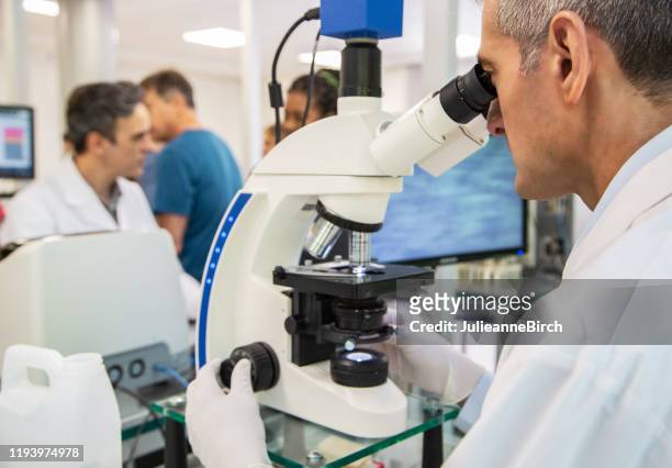 volwassen mannelijke patholoog met behulp van microscoop in lab - patholoog stockfoto's en -beelden