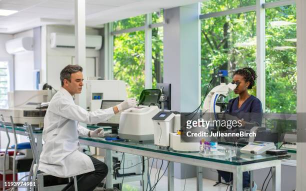 pathologist processing samples and tech using microscope - medical laboratory stock pictures, royalty-free photos & images