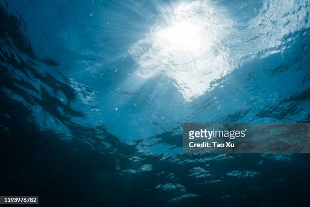 sunshine penetrate the ocean - murky water stockfoto's en -beelden