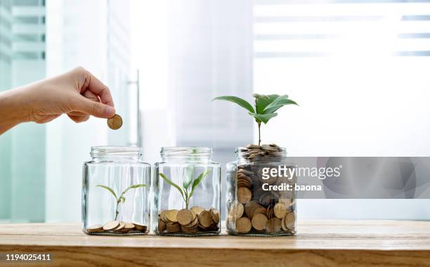 frau legt münze in das glas mit pflanze - finanzen stock-fotos und bilder