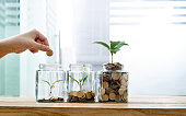 Woman putting coin in the jar with plant