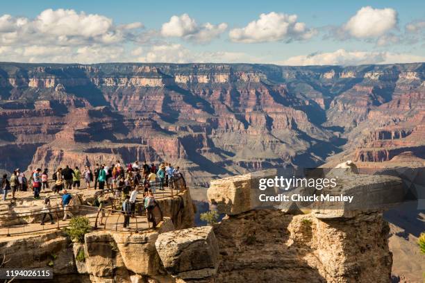 grand canyon - grand canyon south rim stockfoto's en -beelden