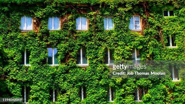 blooming building brings the nature out - sustainable design stockfoto's en -beelden