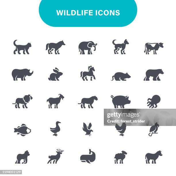 wildlife icons - livestock stock illustrations
