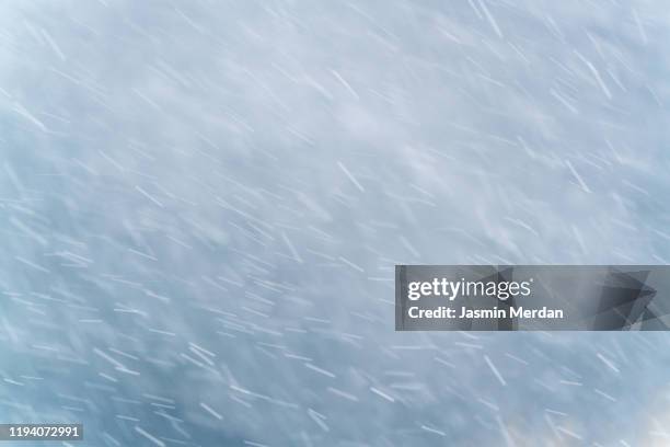 winter scene - snowfall on the blurred background - schneesturm stock-fotos und bilder