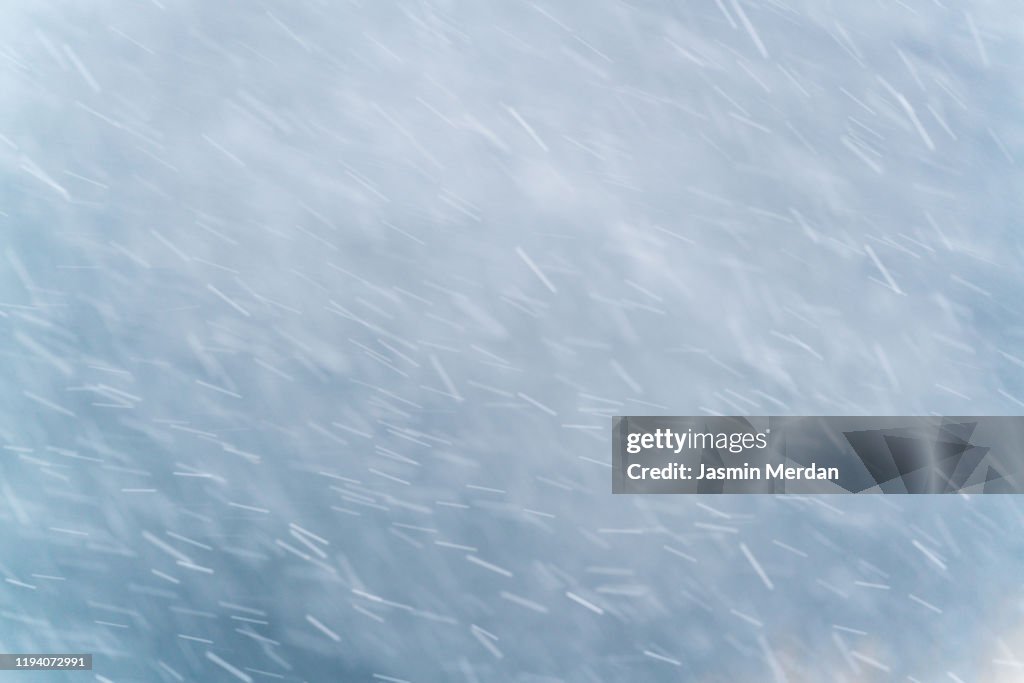 Winter scene - snowfall on the blurred background