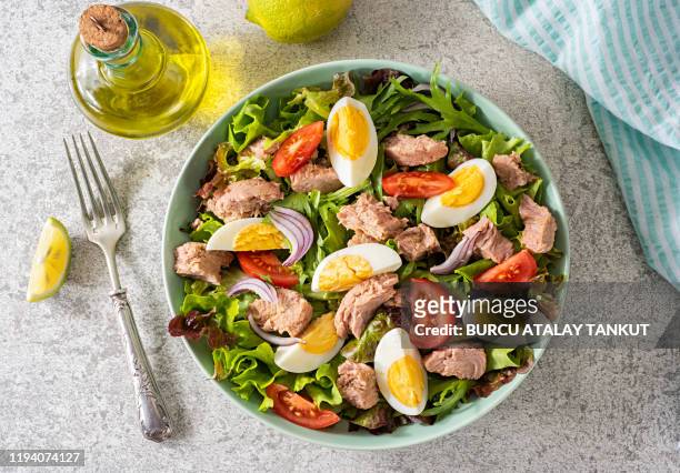 fresh homemade tuna salad - laag koolhydraten dieet stockfoto's en -beelden