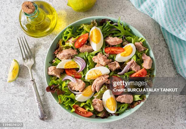 fresh homemade tuna salad - olive oil bowl stock pictures, royalty-free photos & images