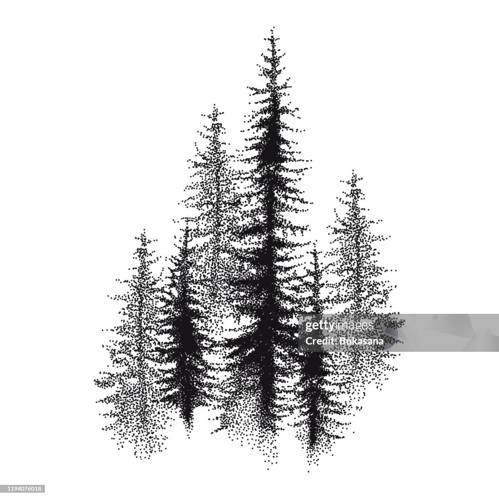 Spruice Tree Vector Vector Dotted Spruce Tree Or Coniferous Forest In Black Isolated On ...
