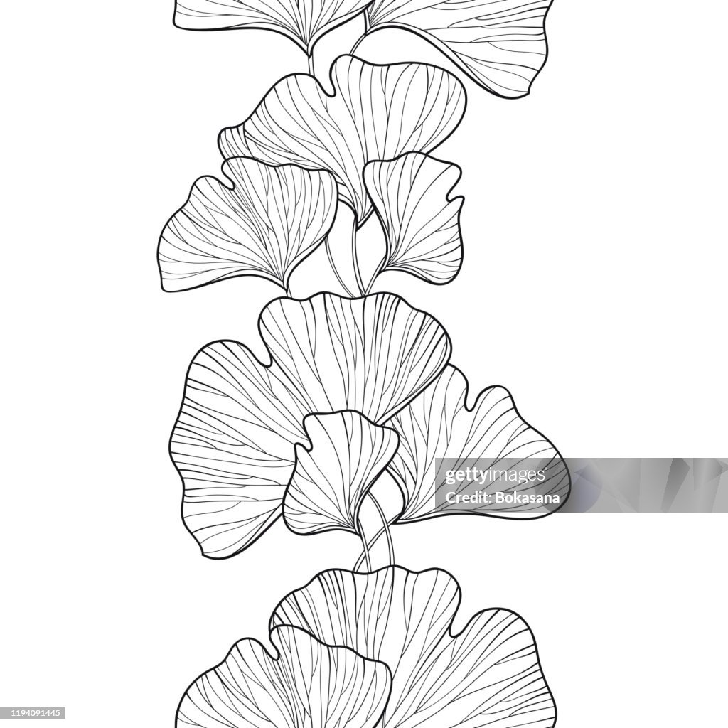 Interlocking Gingko Pattern Vector Seamless Pattern With Outline Gingko Or Ginkgo Biloba Leaves In ...